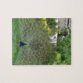 Peacock Photo 8" x 10"写真パズル(ギフトボックス付き) ジグソーパズル (横)