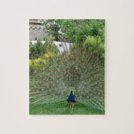Peacock Photo 8" x 10"写真パズル(ギフトボックス付き) ジグソーパズル