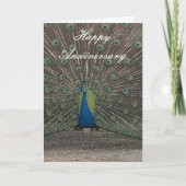 PEACOCK PHOTO ANNIVERSARY GREETING CARD カード (正面)