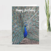 PEACOCK PHOTO HAPPY BIRTHDAY GREETING CARD  カード (正面)