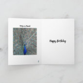 PEACOCK PHOTO HAPPY BIRTHDAY GREETING CARD  カード (内部)