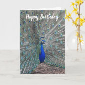 PEACOCK PHOTO HAPPY BIRTHDAY GREETING CARD  カード (黄色い花)