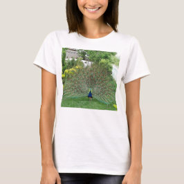 Peacock photo Women's Basic T-Shirt,ホワイト Tシャツ