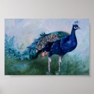 Peacock Poster氏 ポスター