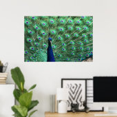 Peacock Poster ポスター (ホームオフィス)