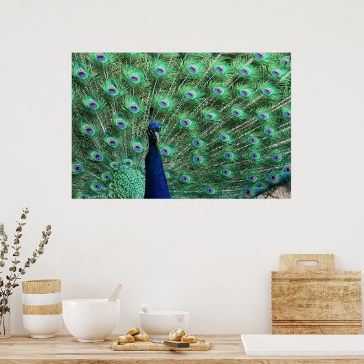 Peacock Poster ポスター (キッチン)