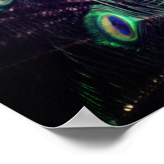 Peacock Poster - R - 0614 ポスター (角)