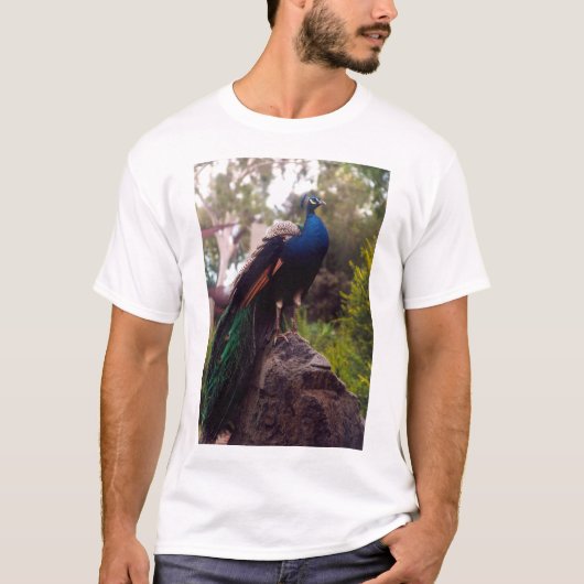 Peacock Rock 15インチノートパソコンのスキン Tシャツ (正面)