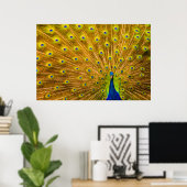 Peacock, Silver Falls, Kauai, Hawaii ポスター (ホームオフィス)