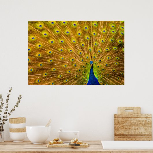 Peacock, Silver Falls, Kauai, Hawaii ポスター (キッチン)