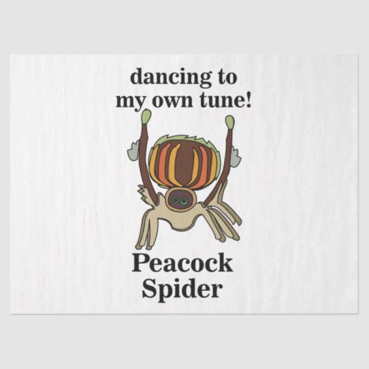 Peacock Spider Funny 薄葉紙 (正面)