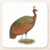 Peafowl：コンゴのピーヘン スクエアペーパーコースター (正面)