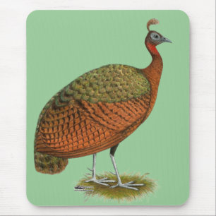 Peafowl：コンゴのピーヘン マウスパッド