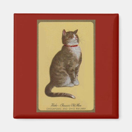 Peake, Chessie's Old Man tomcat tabby cat マグネット (正面)
