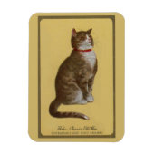 Peake, Chessie's Old Man tomcat tabby cat マグネット (縦)