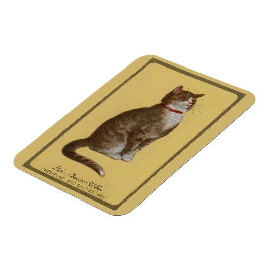 Peake, Chessie's Old Man tomcat tabby cat マグネット (左側)