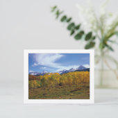 「Peaks-In-View」 ポストカード (スタンド正面)