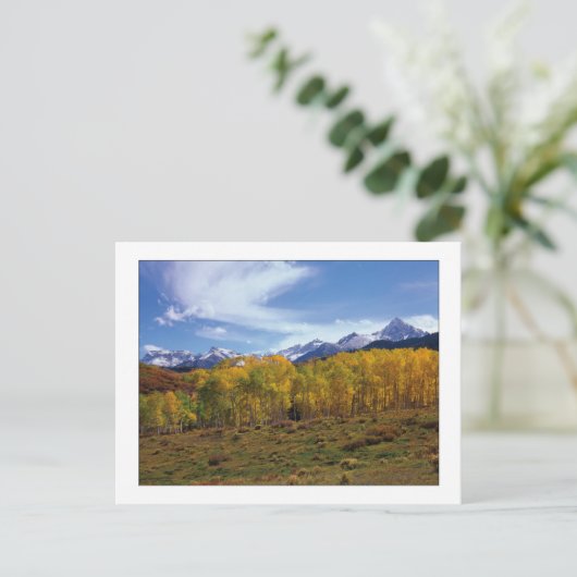 「Peaks-In-View」 ポストカード (スタンド正面)