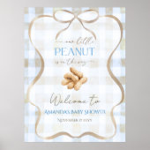 Peanut Boy Blue Gingham Baby Shower Welcome ポスター (正面)