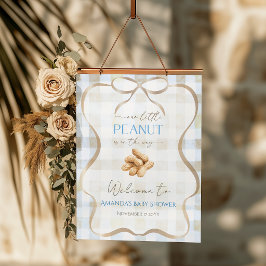 Peanut Boy Blue Gingham Baby Shower Welcome ポスター