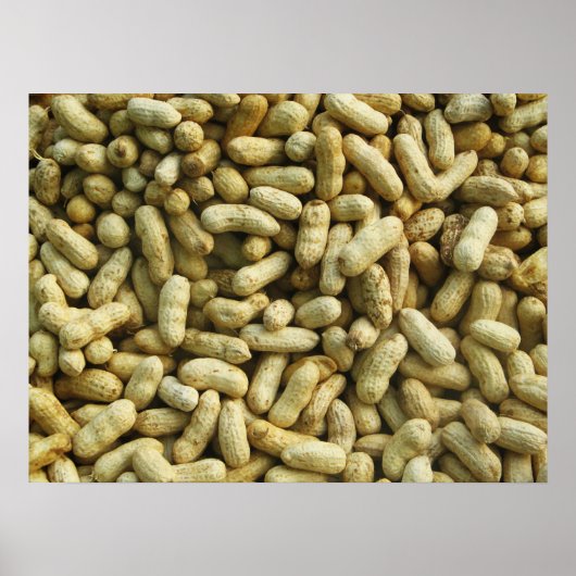 Peanuts ポスター (正面)