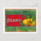 Pearストッククラートラベル ポストカード (正面)