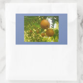 Pear開花 長方形シール (バッグ)