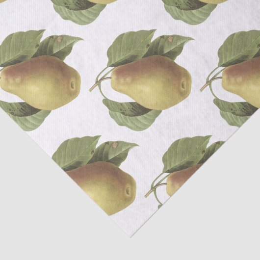 Pear Pattern 薄葉紙 (詳細)