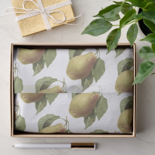 Pear Pattern 薄葉紙 (ギフト)
