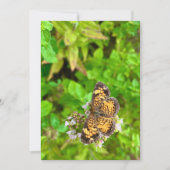 Pearl Crescent butterfly birthday card dh26 (正面)