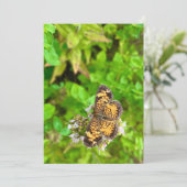 Pearl Crescent butterfly birthday card dh26 (スタンド正面)