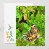 Pearl Crescent butterfly birthday card dh26 (正面/裏面)