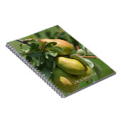 Pears Fruit (my photography) ノートブック (右側)