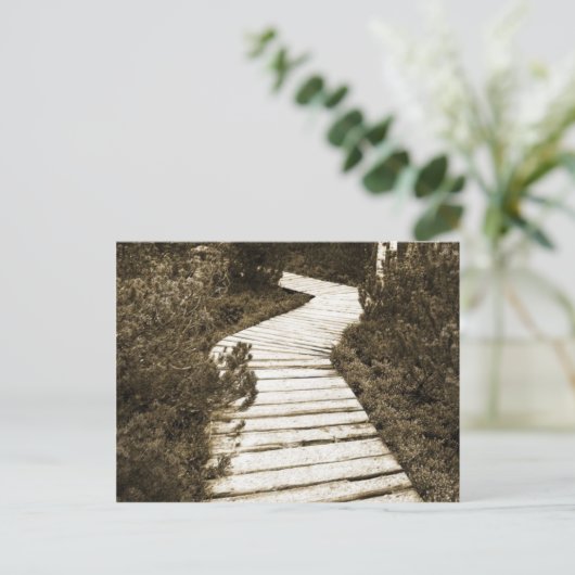 PEAT MOOR上のパス(セピア色) ポストカード (スタンド正面)