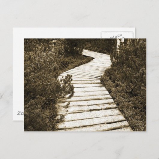 PEAT MOOR上のパス(セピア色) ポストカード (正面/裏面)