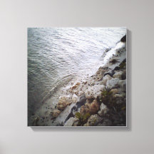 Pebbles At Theビーチ-海ブルートリミングホテル