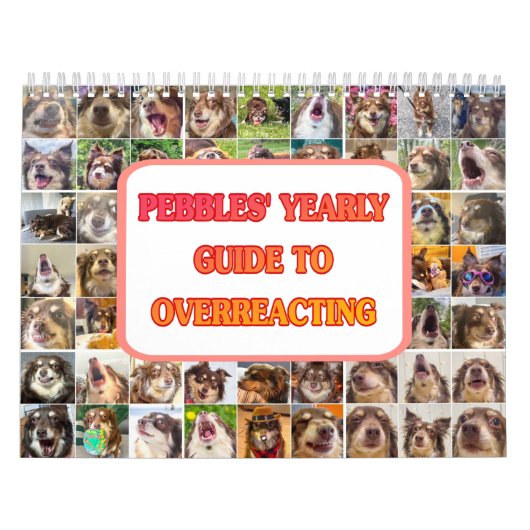 Pebbles' Calendar カレンダー (カバー)