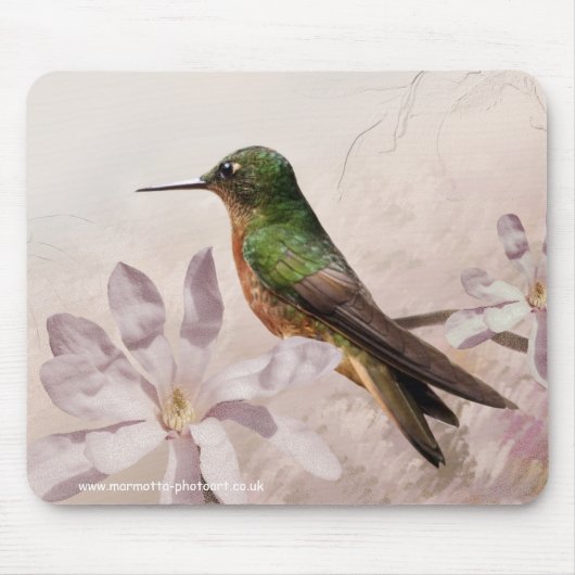 Pechicastañosのマウスマット マウスパッド (正面)