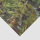 Peder Mork Monstedによる春の反映 薄葉紙 (詳細)