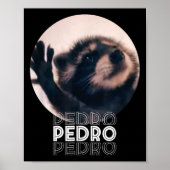 Pedro Racoon Dance Popular Internet Meme Mapache D ポスター (正面)