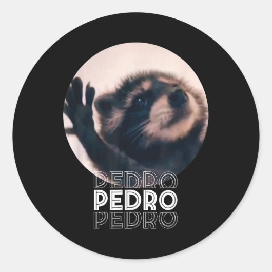 Pedro Racoon Dance Popular Internet Meme Mapache D ラウンドシール (正面)