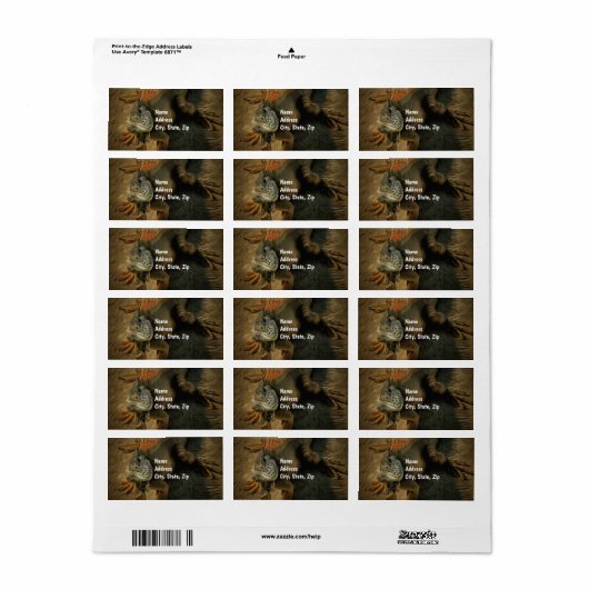 Pedro the Iguana 0768住所 ラベル (フルシート)