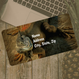 Pedro the Iguana 0768住所 ラベル