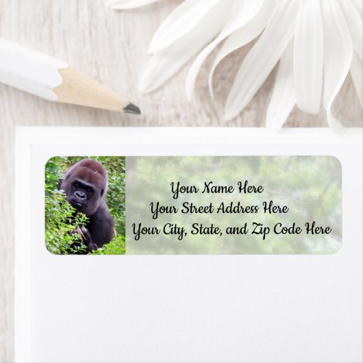 Peek-A-Booゴリラ住所 シール (インサイチュ)