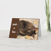 PEEK-A-BOO & *おめでとうございます。 カード (正面)