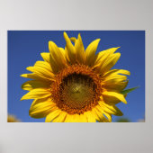 Peek a boo ポスター (正面)