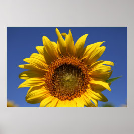 Peek a boo ポスター