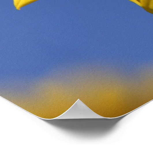 Peek a boo ポスター (角)