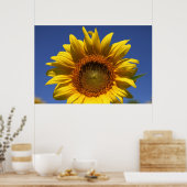 Peek a boo ポスター (キッチン)