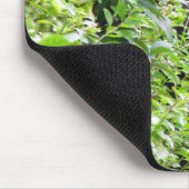 Peek-A-Boo Gorillaマウスパッド マウスパッド (コーナー)